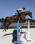 БОЛЬШОЙ ДОБРЯК В КОНКУР