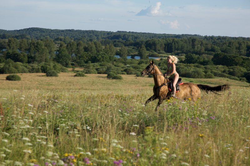 Фото Е. Школьник.