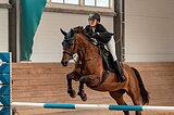 голштинка в спорт в/х169см