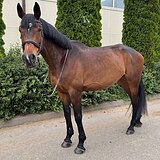 СТАРТОВЫЙ ОПЫТ ДО 120 СМ