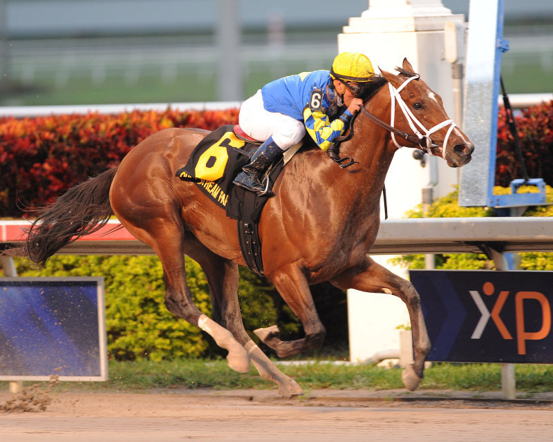 Ипподром Gulfstream Park 2012 год, скачка Holy Bull Stakes.