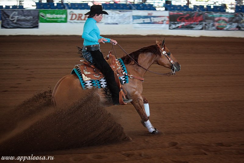 Cactus Reining Classic, Scottsdale, Arizona, 2011