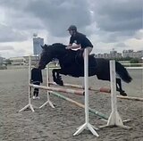 Срочно! Пони класс