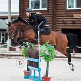 КОБЫЛА НА МАРШРУТЫ 120 СМ