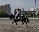 Мерин