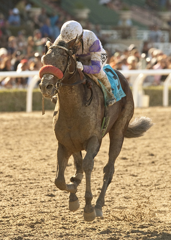 Ипподром Santa Anita 2013 год, скачка FrontRunner Stakes