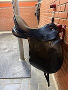 Kieffer выездка 