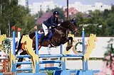 Мерин 2020 г.р, 167 вх