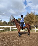 Обучение, хобби, прогулки