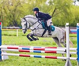 Кобыла в троеборье 