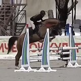 КОБЫЛА НА МАРШРУТЫ ДО 105 СМ 