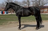 МАРШРУТЫ 130 • ИМПОРТ