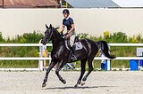 Кобыла 2019 гр, 172 вх