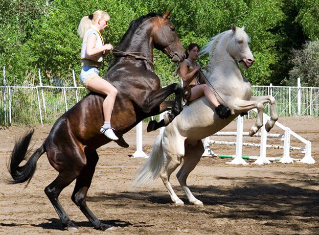 Сибирские "амазонки"