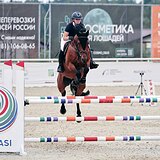 Мерин конку