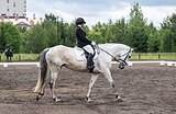Кобыла