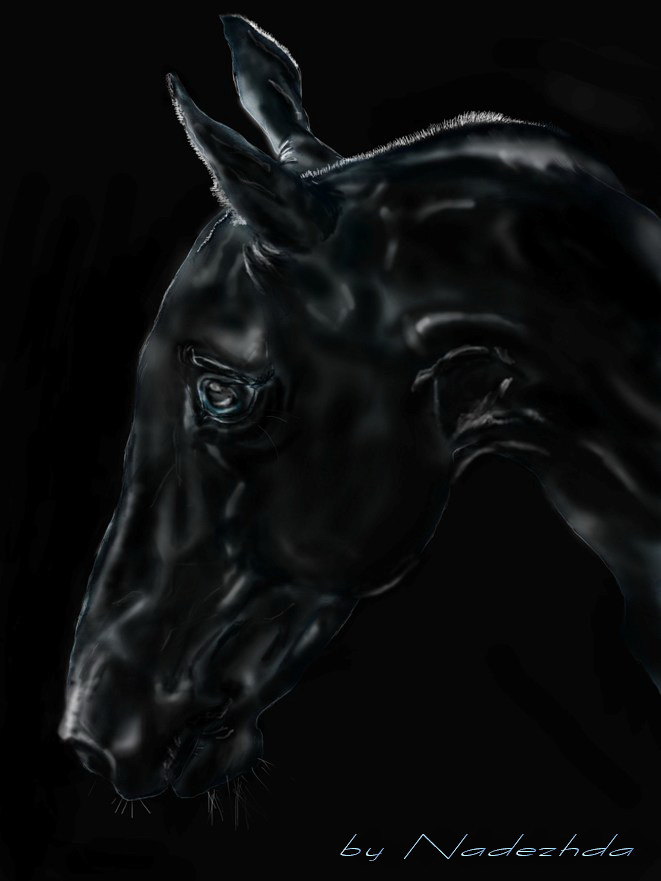 фотошоп (пользовалась только мышкой) Голову лошади рисовала по фото Викарус, надеюсь она не против...