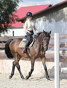 УЧИТЕЛЬ В КОНКУР • ДЕШЕВО