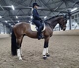 УЧИТЕЛЬ В ВЫЕЗДКУ 