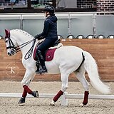 ДЕТСКИЕ И ЮНОШЕСКИЕ ЕЗДЫ