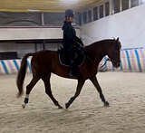 Хобби кобыла