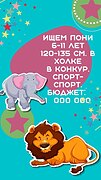 Ищм пони в конкур