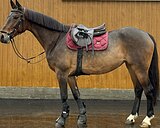 ПОДОЙДЕТ ПОД ДЕТЕЙ