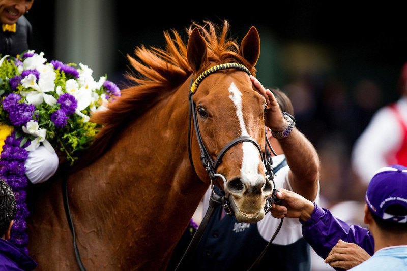 Ипподром Santa Anita Park, Breeders' Cup Filly and Mare Sprint (Gr. 1) 2014 год.