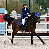 ОТЛИЧНЫЙ ПАРТНЕР ДЛЯ РЕБЕН