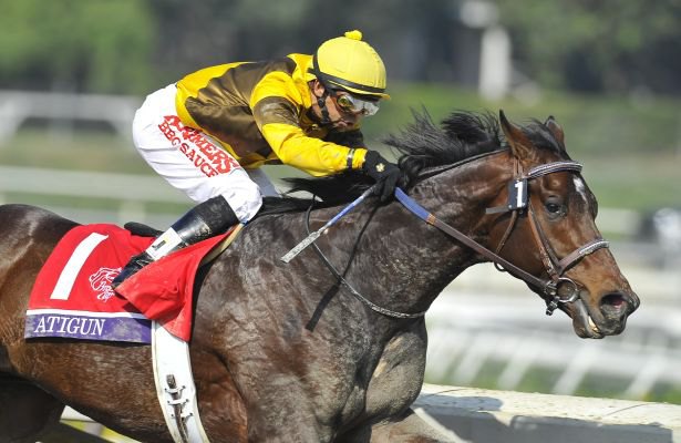 Ипподром Santa Anita Park 2012 год, скачка Breeders' Cup Marathon.