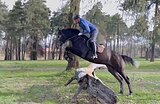 ЖЕРЕБЕЦ В КОНКУР • МАРШРУТ
