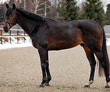 МАРШРУТЫ 80-100 • ДАЖЕ ПОД РЕБ