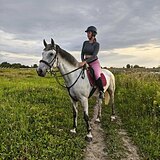 кобыла в хобби