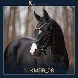 3 летний мерин в выездку