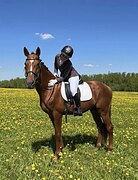 МАРШРУТЫ 100,ХОДИТ В ПОЛЯ