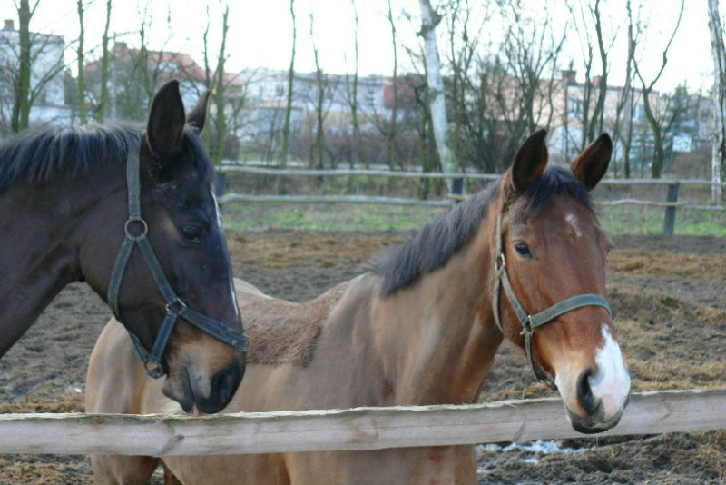 molodenkie a ushe s modelnymi strishkami :D