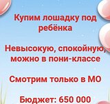 Купим лошадь под ребенка 