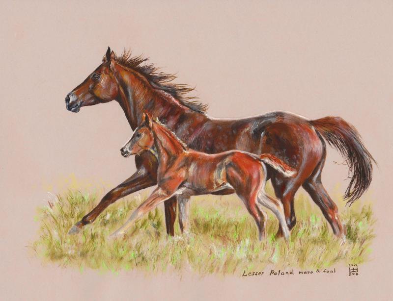 "Lesser Poland mare & foal" Картон цвета камня, акрил. Формат 21,6см х 27,9см. Написана в США под заказ в Польшу.