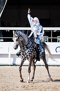 самый титулованный араб 