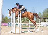 тракен в любую дисциплину