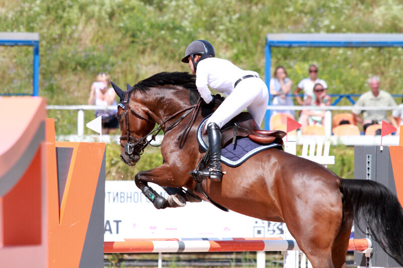 КВИНБИ ЗЕТ и Чечина Ольга