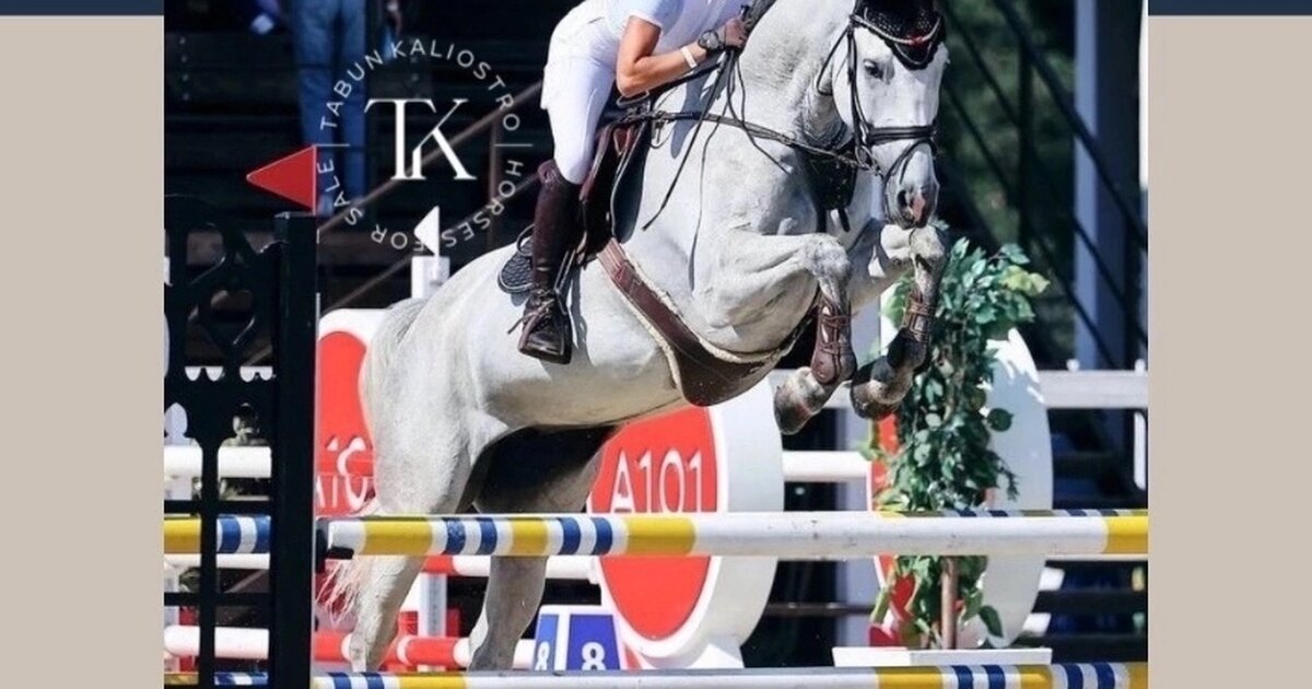 экипировка для конного спорта. экипировка всадника конный спорт. декатлон конный спорт. экипировка для конного спорта. экипировка для конного спорта.