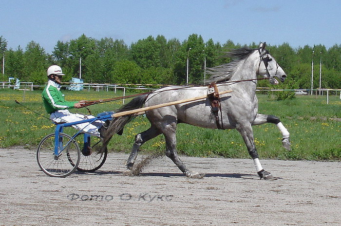 2007 год,Новосибирский ипподром