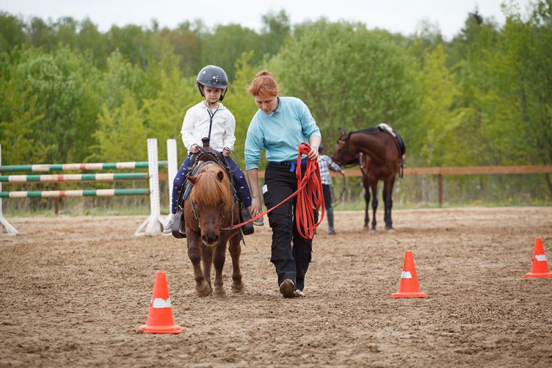 Пони клуб- 800р/30 минут   http://horse-way.ru/