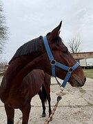 На хороших движениях