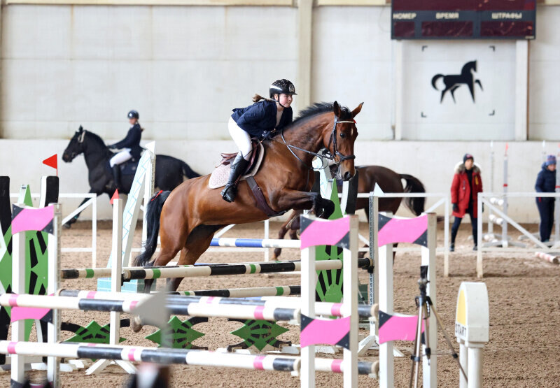 ПАННИ-15 и Омельчук Анна