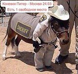Коневоз Питер - Москва 24.03