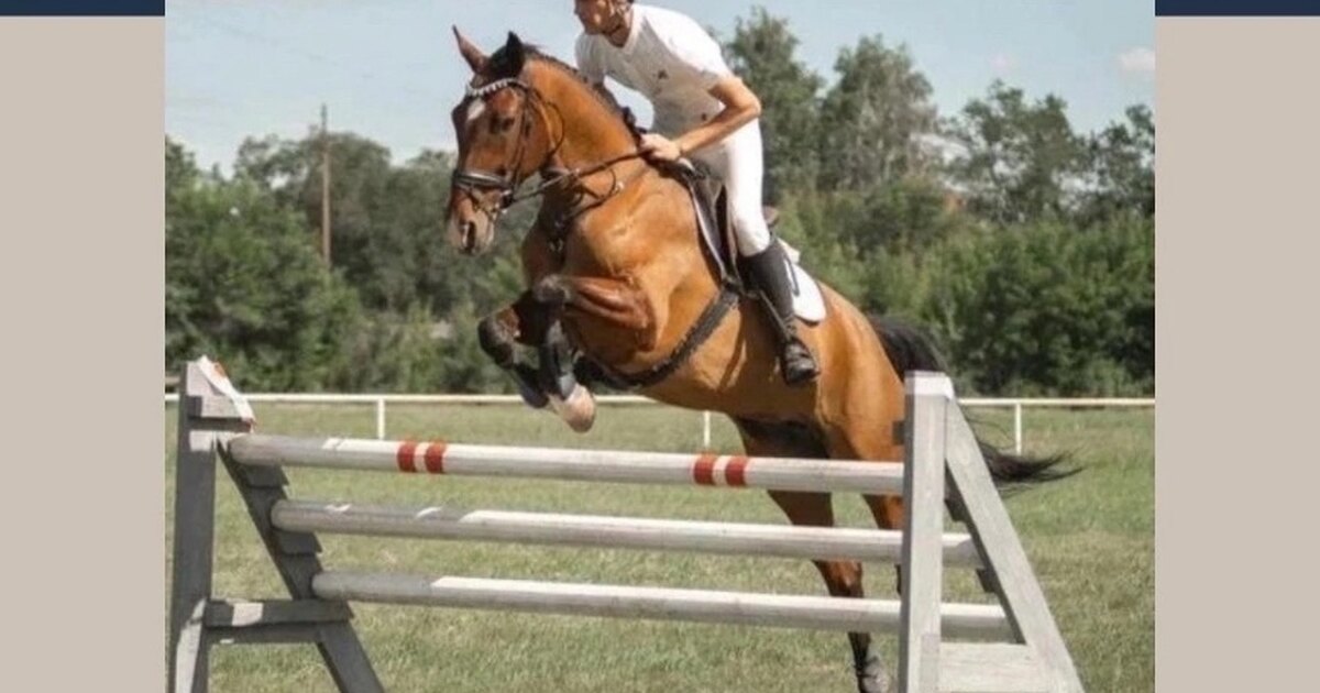 Конный спорт занятия для детей