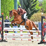 РЫЖАЯ КОБЫЛА 6 ЛЕТ