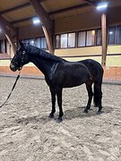 КОНКУР 100 ПОД ДЕТЬМИ